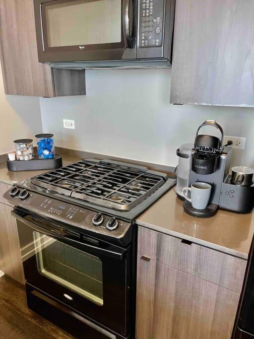 Penthouse In South Loop Chicago Apartamento Exterior foto